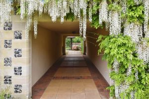 Photo 4- click for photo gallery